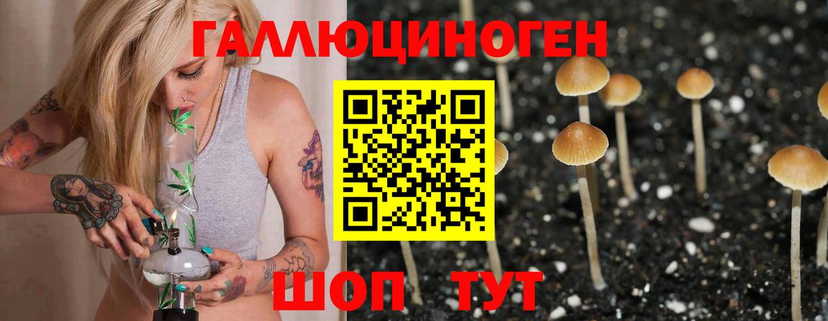 Псилоцибиновые грибы MAGIC MUSHROOMS  Псилоцибиновые грибы Magic Shrooms  Тихвин  Вход с VPN 